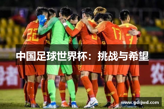 中国足球世界杯：挑战与希望